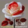 user3219206381933