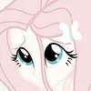 sohi_137ss