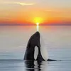 musically2_1