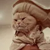 hussain.muradi5