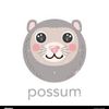 opossum.world.02