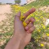 nahal869