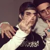 leon_el_capo
