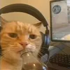 smil3yguy