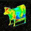 ilovecows3hunnid