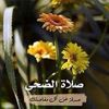 user8188428174347