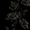 user241242699