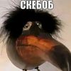 ckeb0b