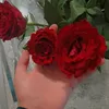 dikragjdybc