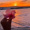 themorningsunhere