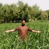 pervaiz.ali.abbasi