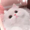 qunh.nhi1169