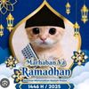 haikalkece06