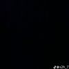 luis_77707