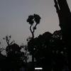 dung.vu182