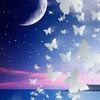 sozana.danial7