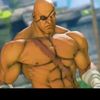 sagat.num2
