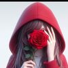 user2753330086716