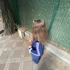 zehramm041