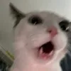 doolinhh8