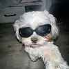 bluebvrri_1009