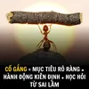 hungthinhdecor83