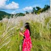 nira.thapa676