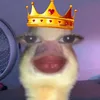 princessssssss084