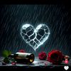 naseer.naseer6497