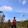kicau_mania216