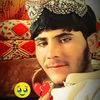 user195198326