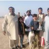 ranahassan_37