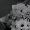 glxsyy_by