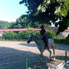 mati.pasca