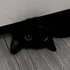 0qtl._