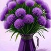 moufida225