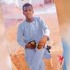 hassan.mohammed0205