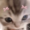 cupid_coquette1