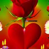 saeedahmad1257