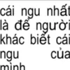 userrvl.nt