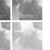 imaaww10