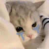 hungcua_a