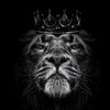 blacklion1881