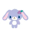 amu_rin24