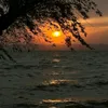 trn.ng.ninh6