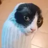 johangzftfi