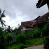 mas.jons46