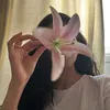 sciui_