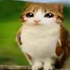 don_esquisofrenia