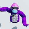 polojrgt